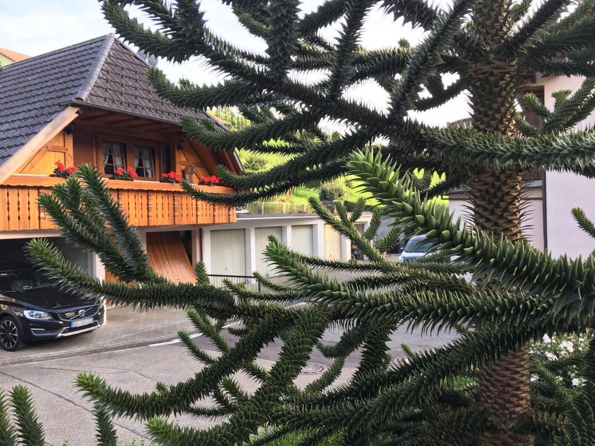 Pension Haus Rose Oberharmersbach Extérieur photo